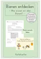 Vorschau - Stundenentwürfe - Bienen: Was wissen wir über Bienen? - Deckblatt
