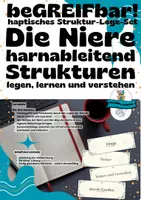 Vorschau - Stationenlernen - beGREIFbar! Niere & Harnableitung – haptisches Struktur-Lege-Set | Biologie Pflege Medizin - Deckblatt