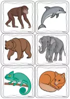 Vorschau - Spiele - ABC - Tier Memory 3-Fach differenziert - Deckblatt
