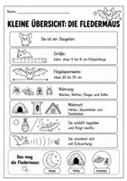 Vorschau - Arbeitsblätter - Fledermaus Lebenszyklus - Interaktives Faltbuch - Seite 1