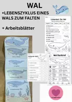 Vorschau - Arbeitsblätter - Materialpaket Wassertiere - Sparpaket: 3 interaktive Faltbücher(Wal, Delfin, Pinguin) Sachunterricht Grundschule - Seite 1