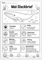 Vorschau - Arbeitsblätter - Materialpaket Wassertiere - Sparpaket: 3 interaktive Faltbücher(Wal, Delfin, Pinguin) Sachunterricht Grundschule - Seite 2