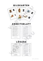 Vorschau - Arbeitsblätter - Lesespaziergang: Abenteuer im Zauberwald | differenziert - Seite 3