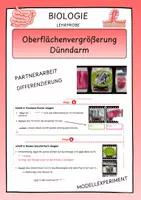 Vorschau - Arbeitsblätter - Oberflächenvergrößerung im Dünndarm - Modellexperiment - Deckblatt