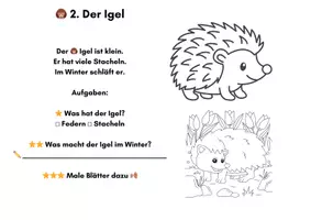 Vorschau - Stundenentwürfe - Lese- & Ausmalmappe Waldtiere – Klasse 1–2 mit Urkunde - Seite 2