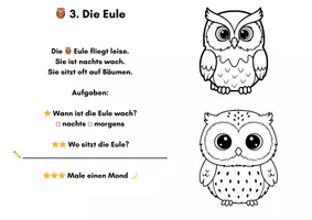 Vorschau - Stundenentwürfe - Lese- & Ausmalmappe Waldtiere – Klasse 1–2 mit Urkunde - Seite 3