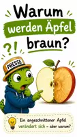 Vorschau - Text - QUAPPIZ Kindernews: Warum werden Äpfel braun? - Deckblatt