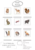 Vorschau - Arbeitsblätter - Materialpaket Forest/Forest animals - Seite 1