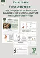 Vorschau - Unterrichtsreihen - Wiederholung Bewegungsapparat - Wiederholungsblatt mit aktivem/passivem Bewegungsapparat, Gelenkarten, Beuger und Strecker, Lösung und S/W-Version - Deckblatt