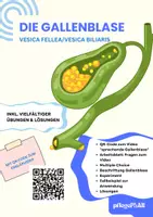 Vorschau - Arbeitsblätter - Die Gallenblase - Arbeitsheft Pflege & Biologie mit Experiment, QR-Code, Fallbeispiel & Lösungen - Deckblatt