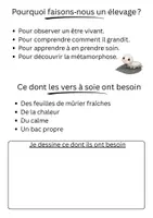 Aperçu - Expériences - Mon Cahier d’élevage : les vers à soie - Page 1