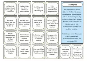 Vorschau - Arbeitsblätter - Spurensuche: Astronauten & Muskeln – Mystery-Material mit Fallimpuls, Hinweiskarten, Ermittlungsbogen, Lösung und S/W-Version - Seite 2