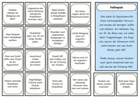 Vorschau - Arbeitsblätter - Spurensuche: Muskeln & Regeneration – Mystery-Material mit Fallimpuls, Hinweiskarten, Ermittlungsbogen, Lösung und S/W-Version - Seite 2