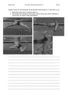 Vorschau - Arbeitsblätter - Materialpaket - Schwimmersatzleistungen - Baderegeln / Fehlerbilder / Technikbeschreibung - Seite 2