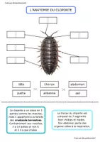 Aperçu - Préparation de séance / Séance complète - Sujet d'étude sur le cloporte - Monpetitcoindief - Page 3