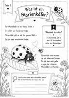 Vorschau - Unterrichtsreihen - Der Marienkäfer - Sachkundeheft für kleine Naturforscher - Seite 2