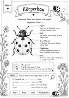 Vorschau - Unterrichtsreihen - Der Marienkäfer - Sachkundeheft für kleine Naturforscher - Seite 3