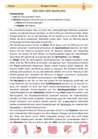 Vorschau - Arbeitsblätter - Der Weg der Nahrung - Deckblatt