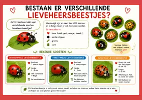 Voorbeeld - Informatieve bundel 'Het lieveheersbeestje' - Pagina 3