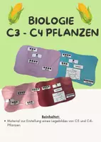 Vorschau - Arbeitsblätter - Stoffwechselphysiologie - C3 und C4 Pflanzen - Deckblatt