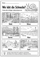 Vorschau - Arbeitsblätter - Schnecke Lebenszyklus - Interaktives Faltbuch & Steckbrief - Seite 2