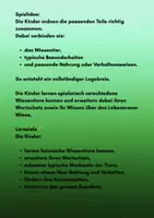 Vorschau - Stundenentwürfe - Wiesentiere entdecken | Legekreis mit Sachwissen Teil 2 - Seite 1
