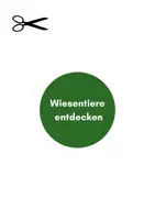 Vorschau - Stundenentwürfe - Wiesentiere entdecken | Legekreis mit Sachwissen Teil 2 - Seite 2