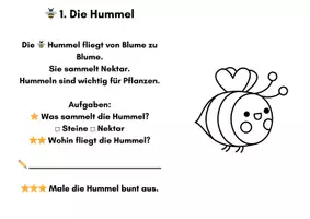 Vorschau - Stundenentwürfe - Lese- & Ausmalmappe Wiesentiere mit Urkunde - Seite 1
