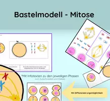 Vorschau - Mal- und Bastelvorlagen - Mitose Bastelmodell - Deckblatt
