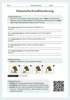 Vorschau - Arbeitsblätter - Klassische Konditionierung – Pawlows Hund, Reiz-Reaktions-Lernen und Alltagsbeispiele - Seite 2