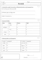 Vorschau - Test - Bienenfleiß 8 (Klasse 3: Zeitformen) - Seite 3