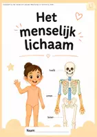 Voorbeeld - Het menselijk lichaam - wetenschappen - Voorblad