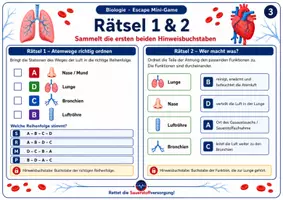 Vorschau - Arbeitsblätter - Escape Mini-Game: Rettet die Sauerstoffversorgung! – Herz-Kreislauf und Atmung - Seite 3