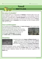 Vorschau - Arbeitsblätter - Reptilien_Sachtexte_Referatgestaltung - Seite 1