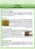 Vorschau - Arbeitsblätter - Reptilien_Sachtexte_Referatgestaltung - Seite 3