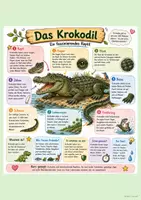 Vorschau - Merkblätter - Reptilien_Steckbriefe - Seite 1