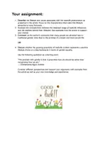 Vorschau - Test - Materialpaket 34 Klausuren Oberstufe Englisch, gender issues, American Dream, AI, social media, discrimination, racism, mock exams, Abitur Englisch - Seite 2