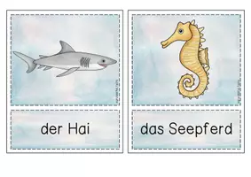 Vorschau - Bildkarten - Bild- / Wortkarten zum Themenbereich Unterwasser - Seite 3