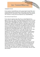 Vorschau - Stundenentwürfe - Stundenentwurf "Bewertung von kriteriengeleiteten Geschichten" - Seite 3