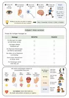 Vorschau - Unterrichtsreihen - Nervenzellen und Sinnesorgane – komplette Unterrichtsreihe für Biologie Klasse 7/8 - Seite 3