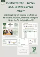 Vorschau - Unterrichtsreihen - Die Nervenzelle – Aufbau und Funktion einfach erklärt - Deckblatt