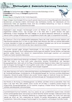 Vorschau - Arbeitsblätter - Lerntheke - dialektische Erörterung - Seite 3