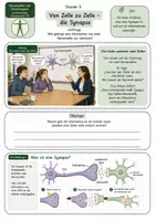 Vorschau - Unterrichtsreihen - Von Zelle zu Zelle – Die Synapse einfach erklärt - Seite 1
