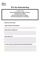 Vorschau - Stundenentwürfe - Wiesentiere – Lesetexte & Arbeitsblätter (Klasse 2–4) | Differenziert mit ⭐ & 2 Lineaturen - Seite 3