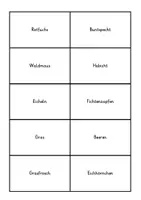 Vorschau - Interaktives Material - Nahrungskette & Nahrungsnetz - Thema Wald - Seite 1