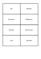 Vorschau - Interaktives Material - Nahrungskette & Nahrungsnetz - Thema Wald - Seite 3