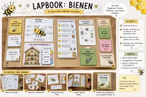 Vorschau - Stundenentwürfe - Bienen-Lapbook-Sachunterricht Grundschule Klasse 2-4 | Mit Klappkarten & Forscheraufträgen - Seite 2