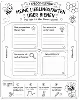 Vorschau - Stundenentwürfe - Bienen-Lapbook-Sachunterricht Grundschule Klasse 2-4 | Mit Klappkarten & Forscheraufträgen - Seite 3