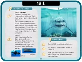 Vorschau - Unterrichtsreihen - Haie - Arbeitsblätter, Lapbook & Wissenskartei - Seite 2