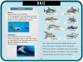 Vorschau - Unterrichtsreihen - Haie - Arbeitsblätter, Lapbook & Wissenskartei - Seite 3